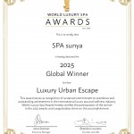 Spa Awards Certificate Global_33_page-0001